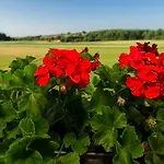 Tourist Farm Mali Raj Bivanje na kmetiji