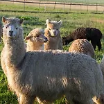 Tourist Farm Mali Raj Фермерский дом Dolenci