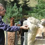 Bivanje na kmetiji Tourist Farm Mali Raj *