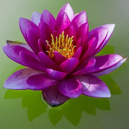 Tourist Farm Mali Raj * Dolenci