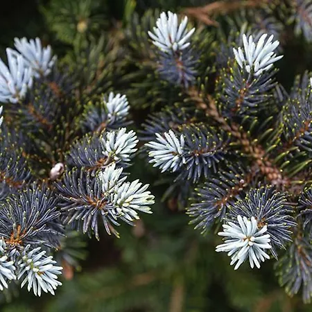 팜스테이 Tourist Farm Mali Raj *