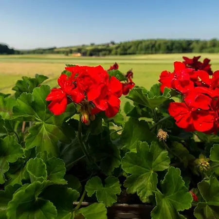 Tourist Farm Mali Raj Gospodarstwo agroturystyczne