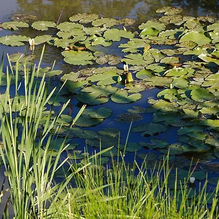 팜스테이 Tourist Farm Mali Raj