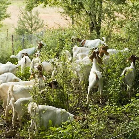 팜스테이 Tourist Farm Mali Raj Dolenci