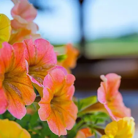 팜스테이 Tourist Farm Mali Raj *