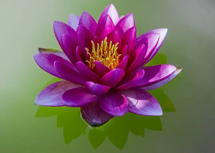 Tourist Farm Mali Raj * Dolenci