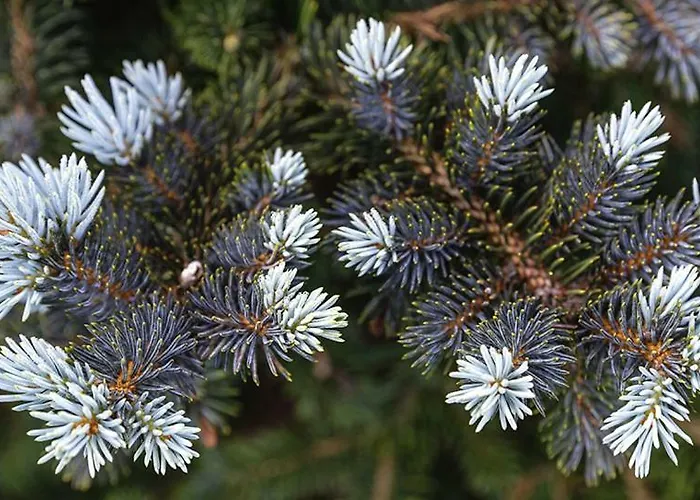 Çiftlik konaklama Tourist Farm Mali Raj *