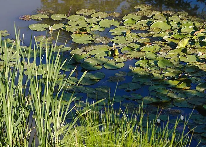 Lantgård Tourist Farm Mali Raj