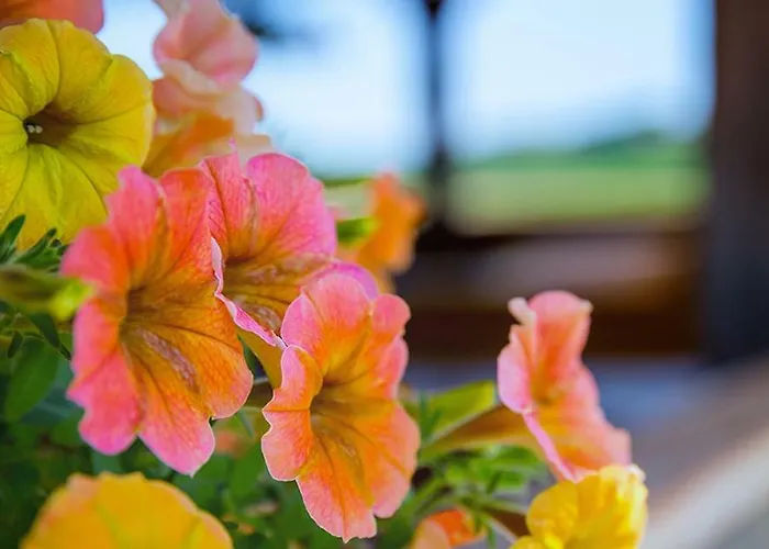 Lantgård Tourist Farm Mali Raj *